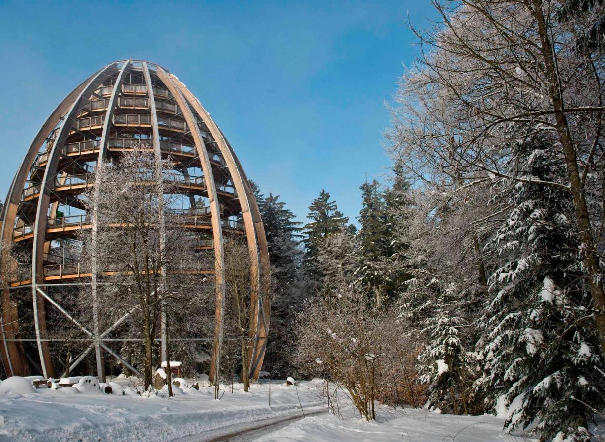 Ferienwohnung Im Landhaus Am Nationalpark Ludwigsthal Zewnętrze zdjęcie