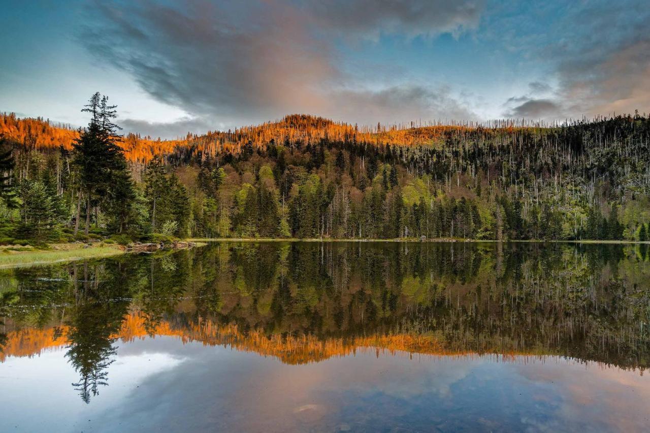 Ferienwohnung Im Landhaus Am Nationalpark Ludwigsthal Zewnętrze zdjęcie